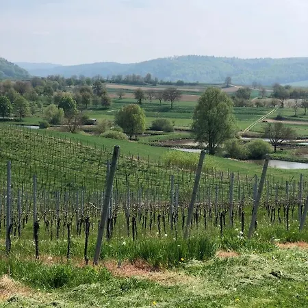 Am Gaessle Ettenheim