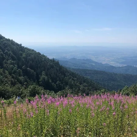 Am Gaessle Apartamento *